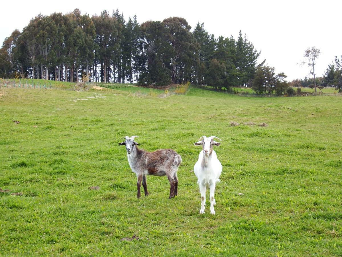 Mahana Farm Cottage Buitenkant foto